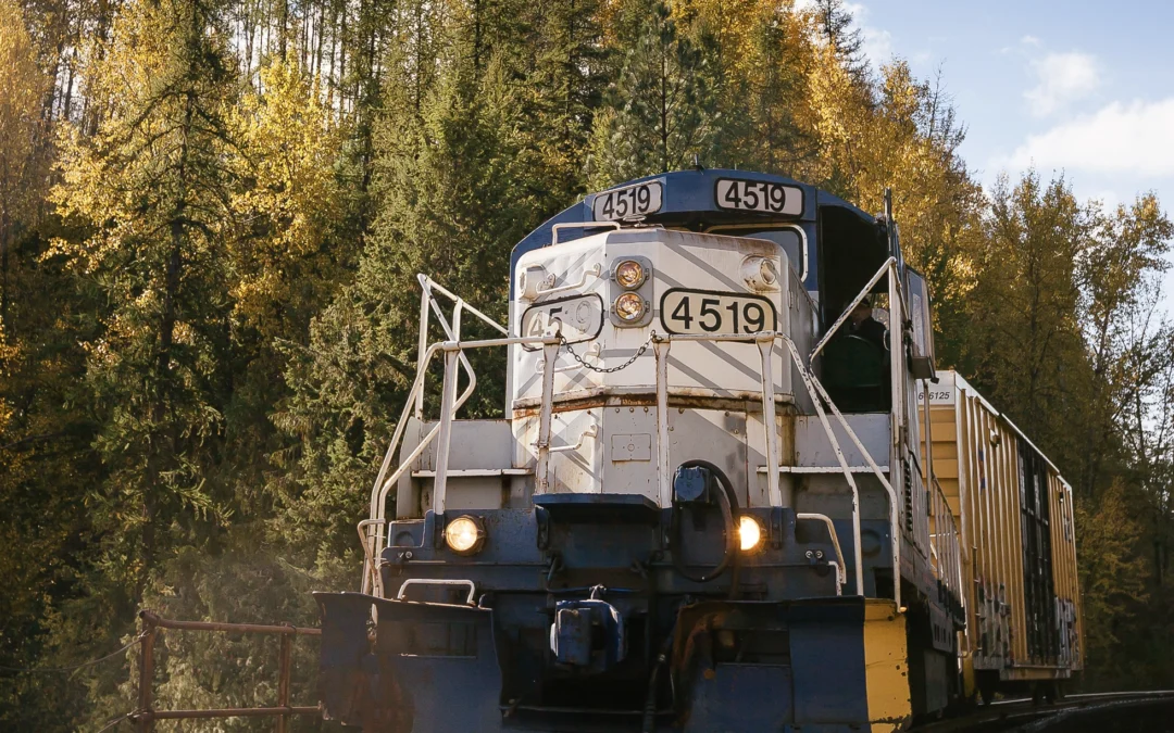 Nelson & Ft. Sheppard Railway