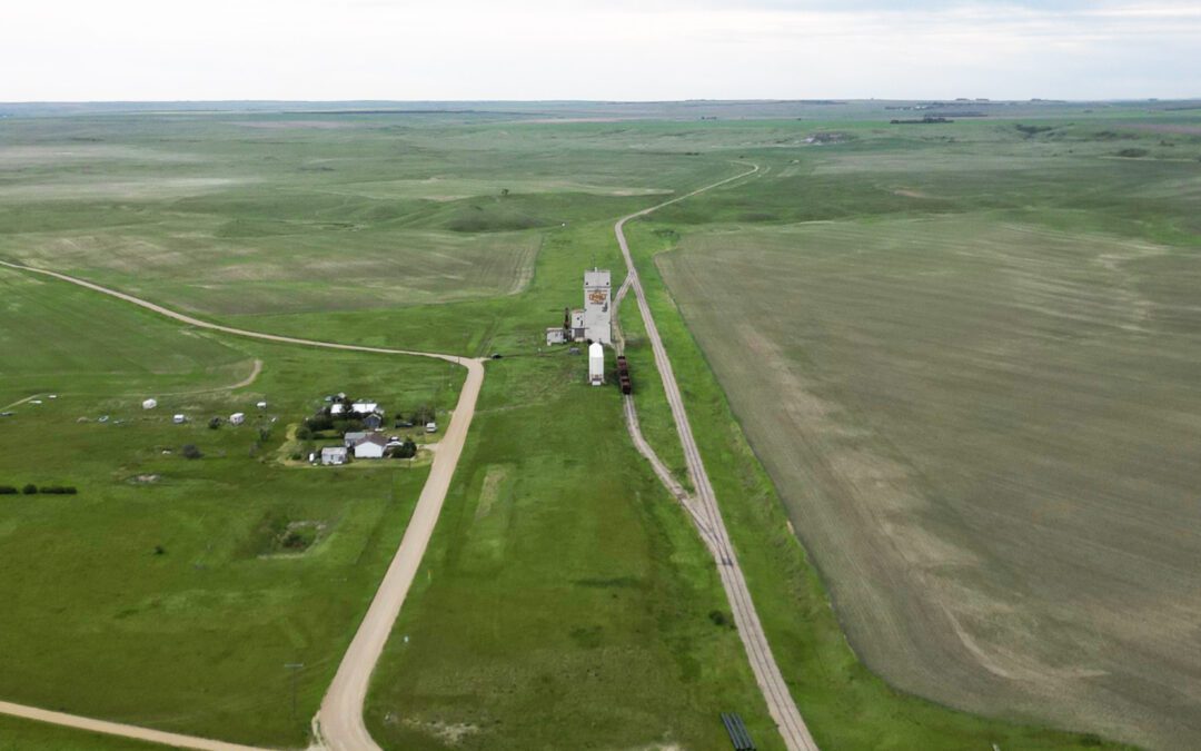 Willows, SK
