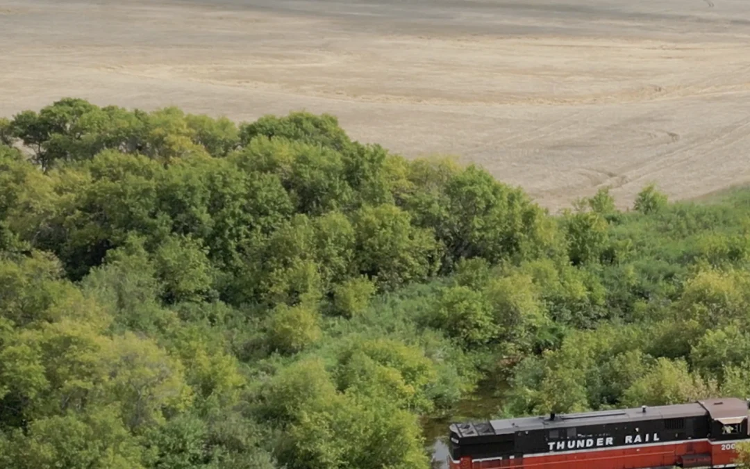 Thunder Rail / Railcar storage