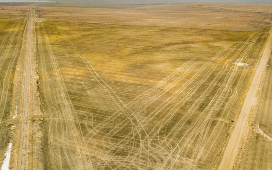 Royer, SK